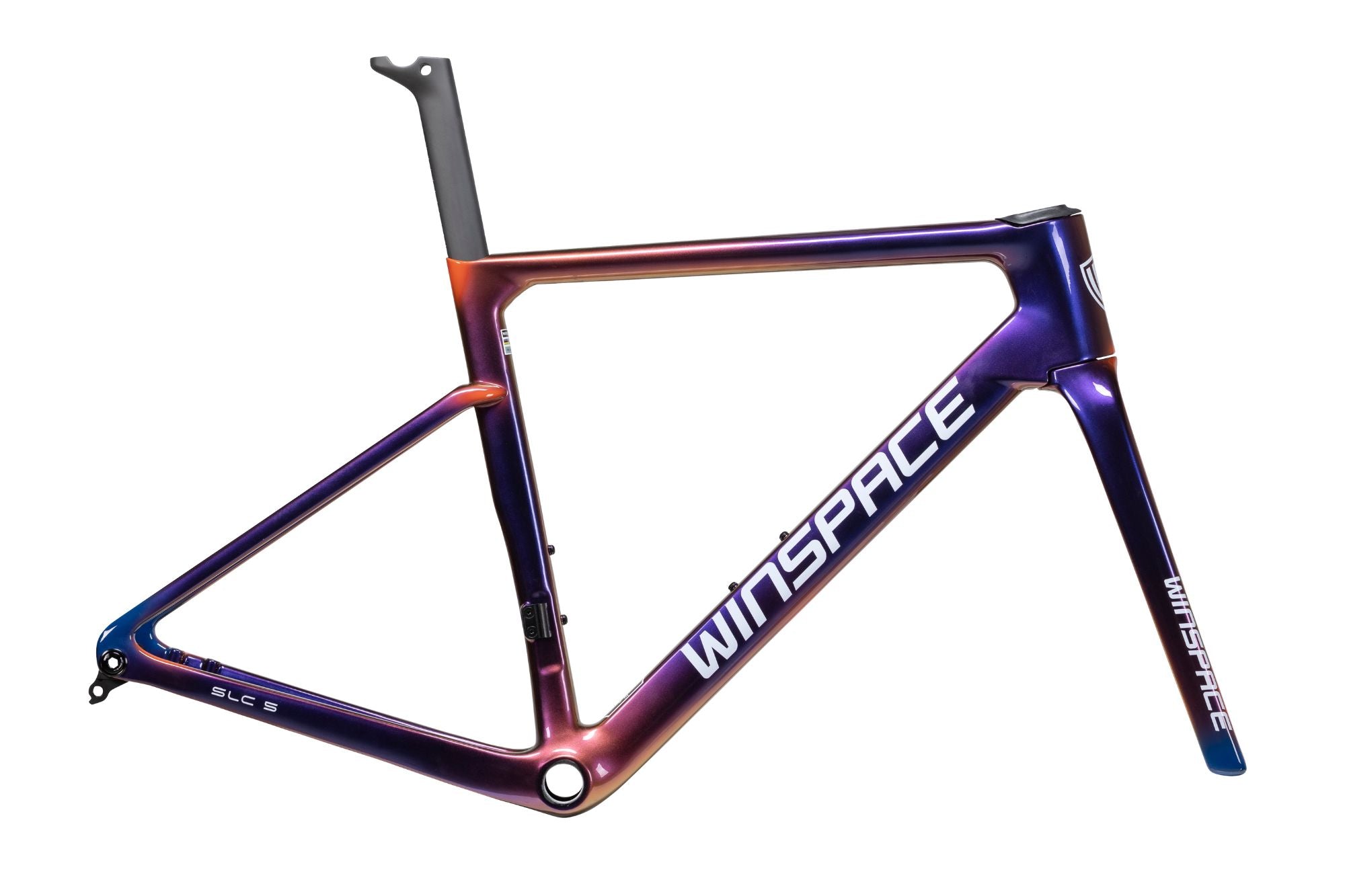 コレクション – WINSPACE JAPAN