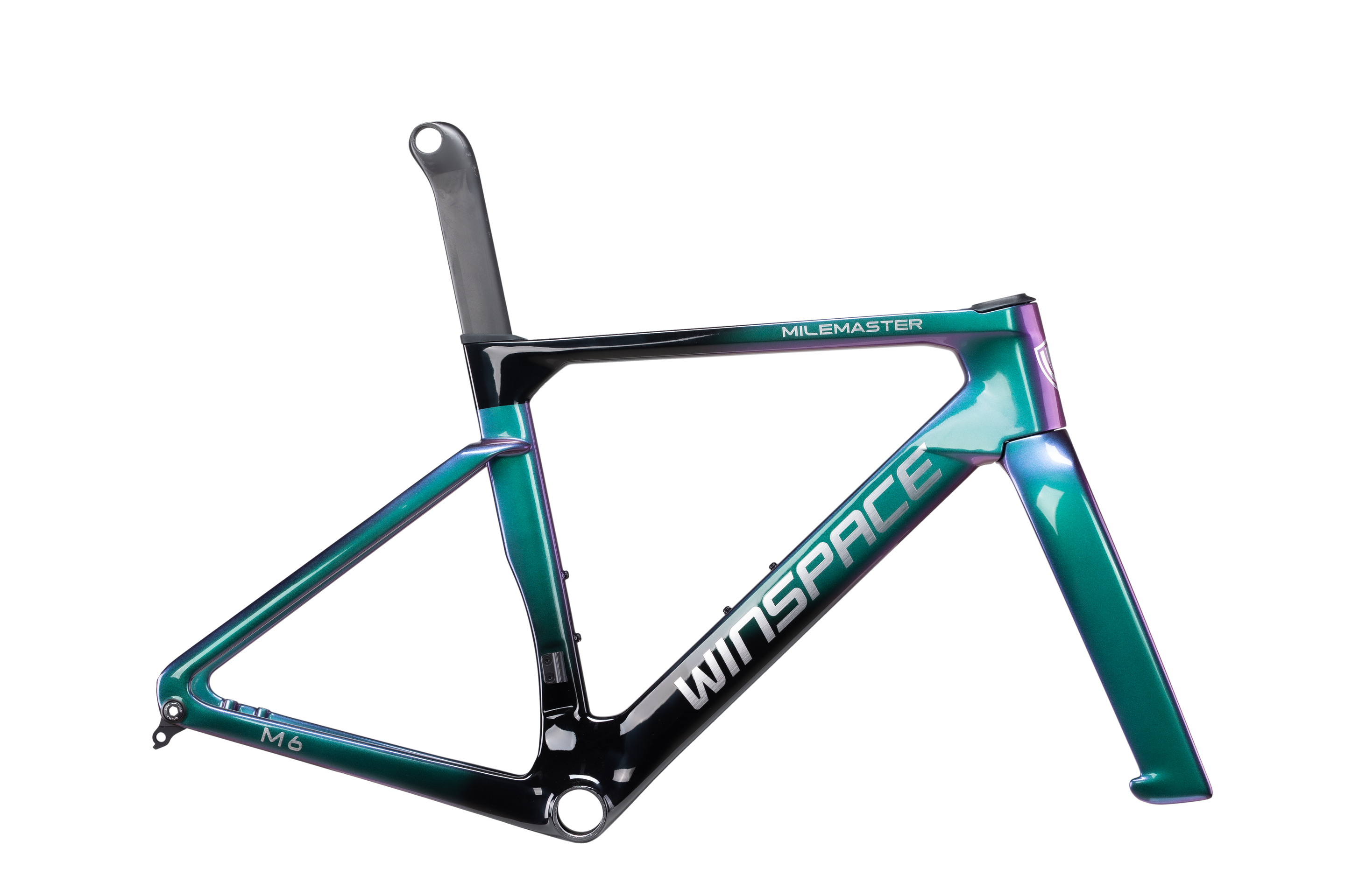 M6 TT L-Twoo eRX完成車