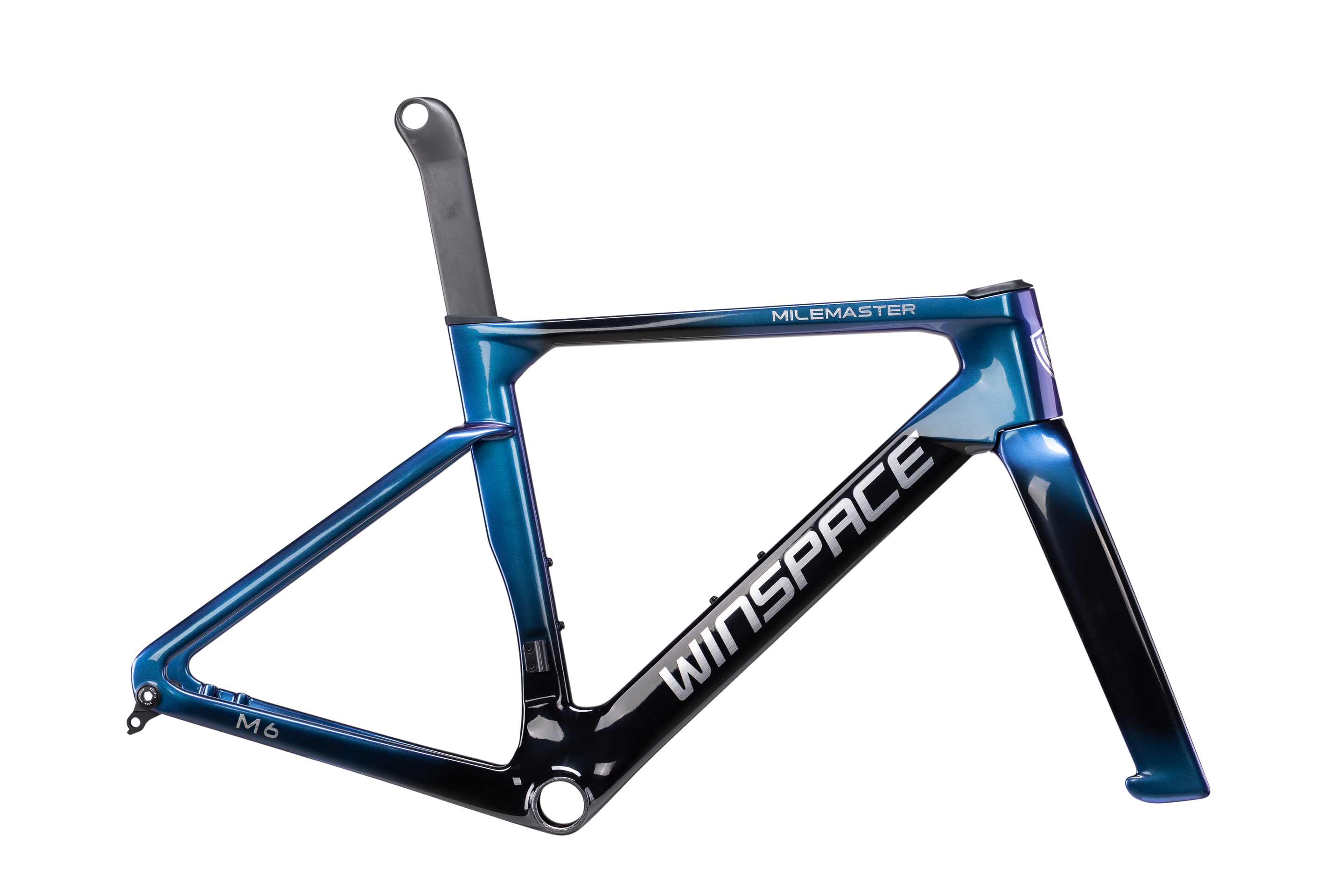 M6 TT L-Twoo eRX完成車