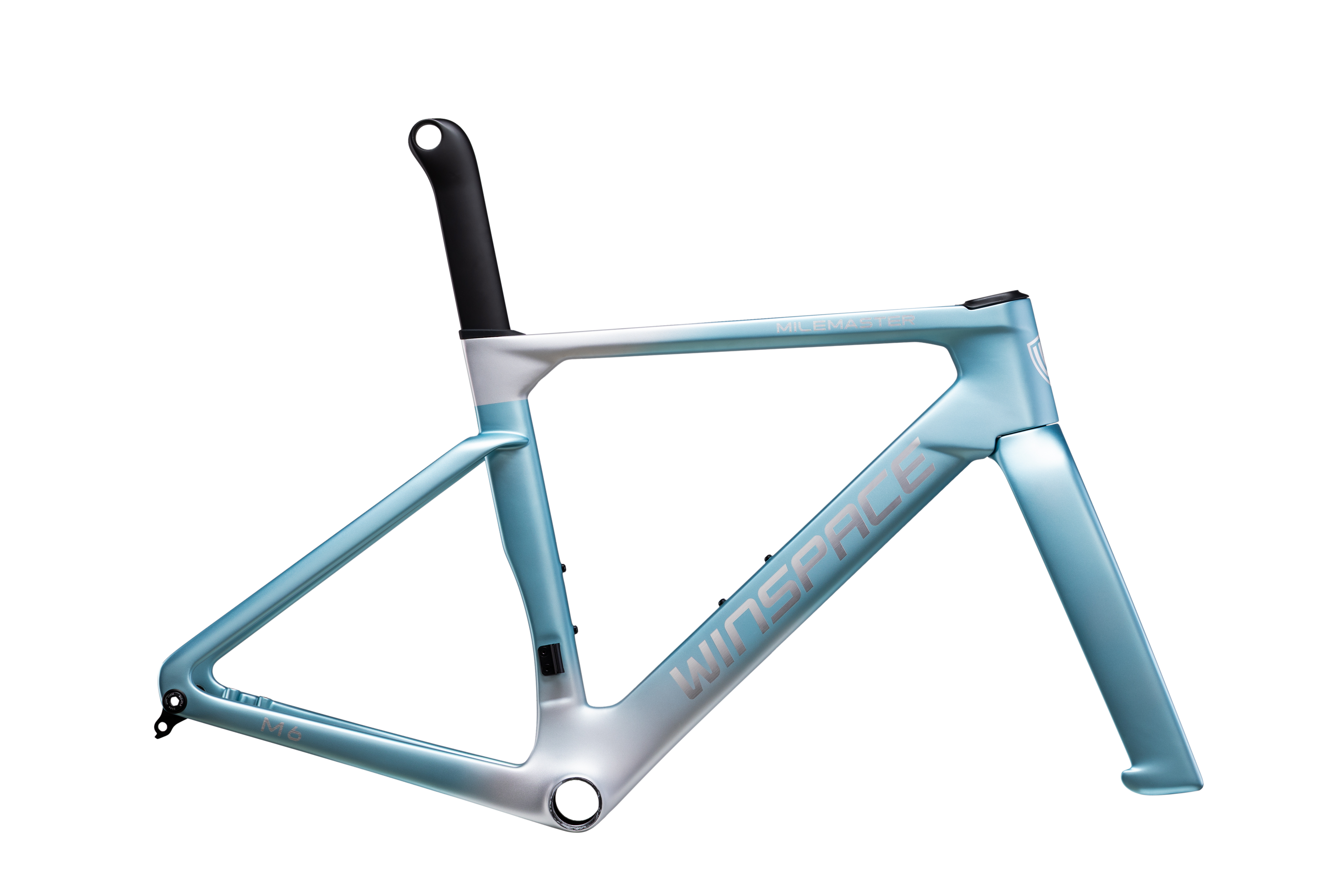 M6 TT L-Twoo eRX完成車