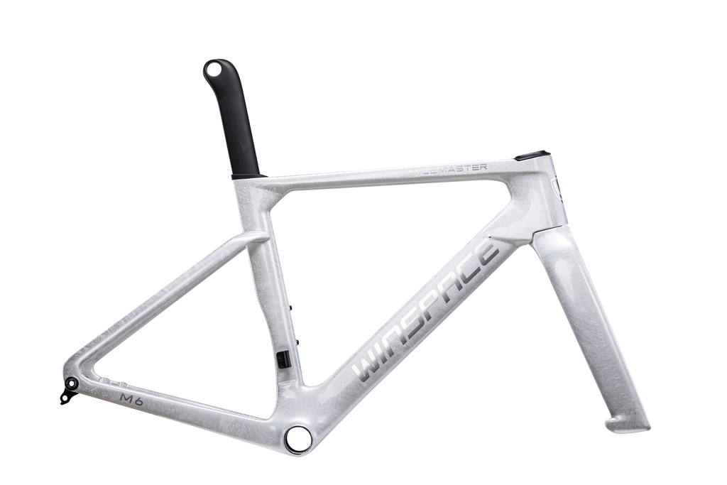 M6 TT L-Twoo eRX完成車