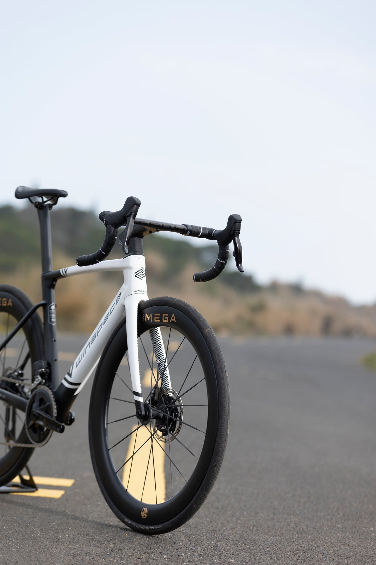 Lún MEGA – WINSPACE JAPAN