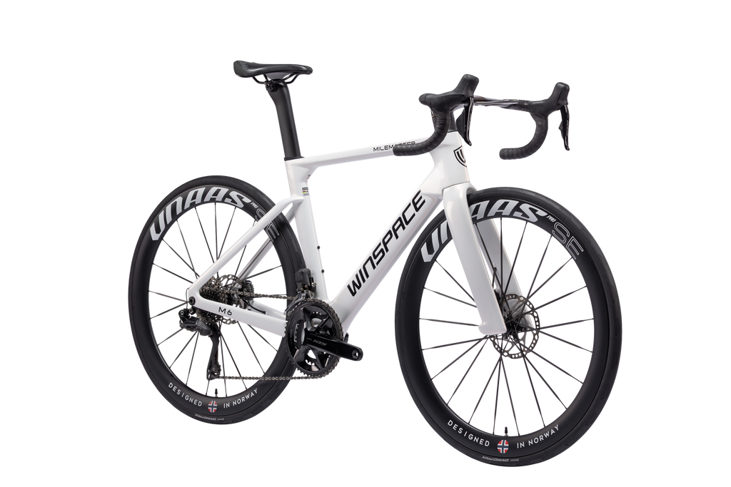 WINSPACE M6 ULTEGRA Di2 完成車