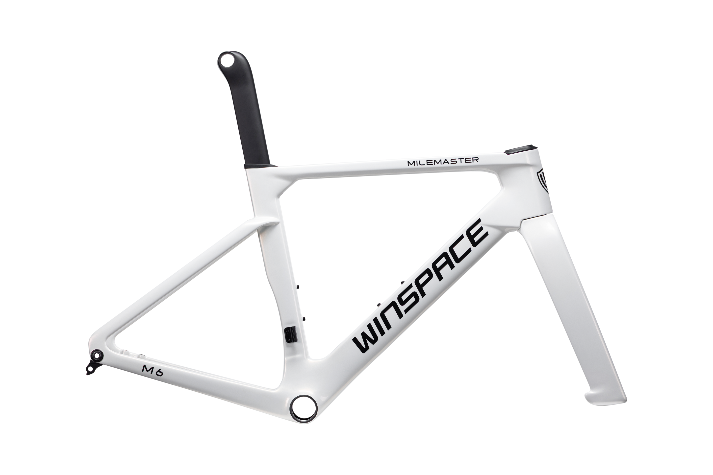 M6 TT L-Twoo eRX完成車