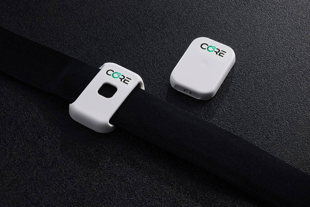 CORE2 深部温度センサー