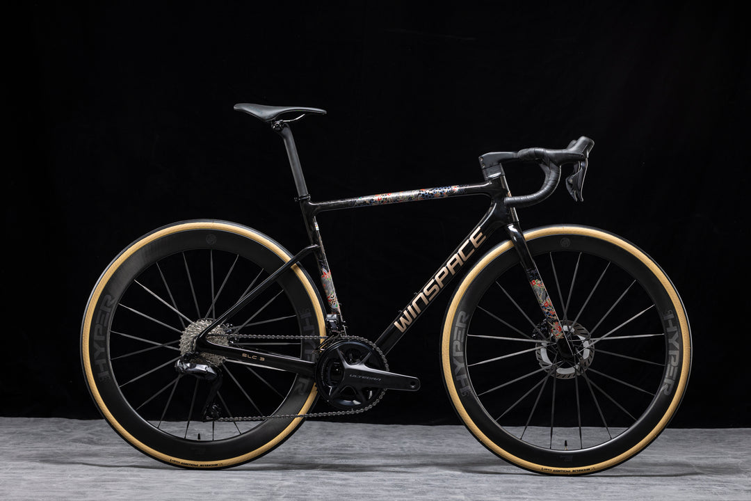 SLC3 ULTEGRA Di2 完成車