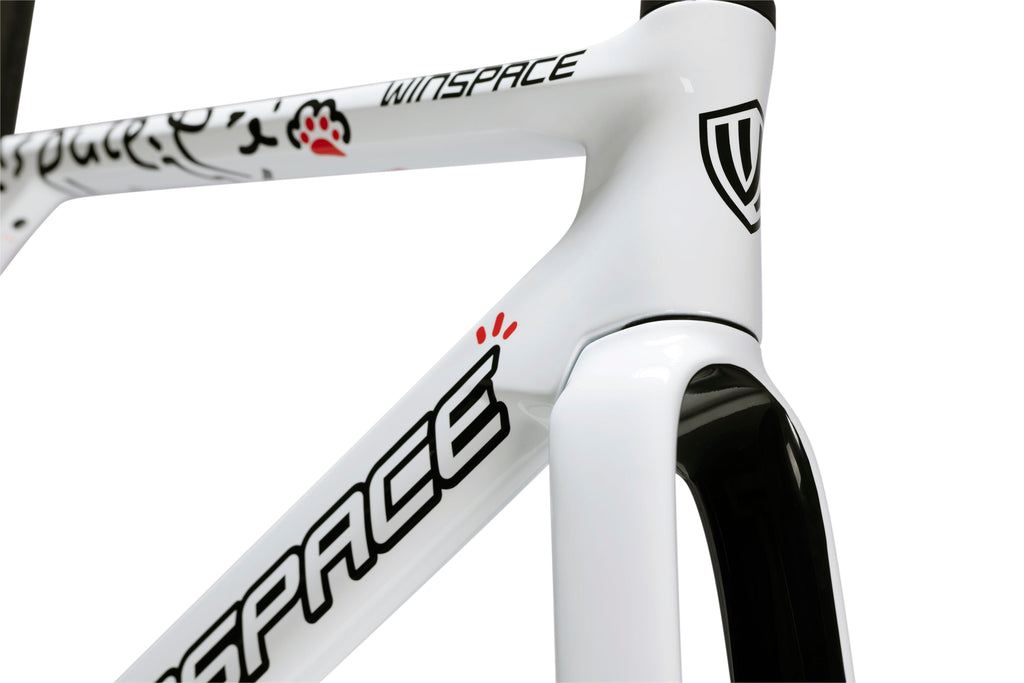 【クリアランスセール】WINSPACE C5 Aero