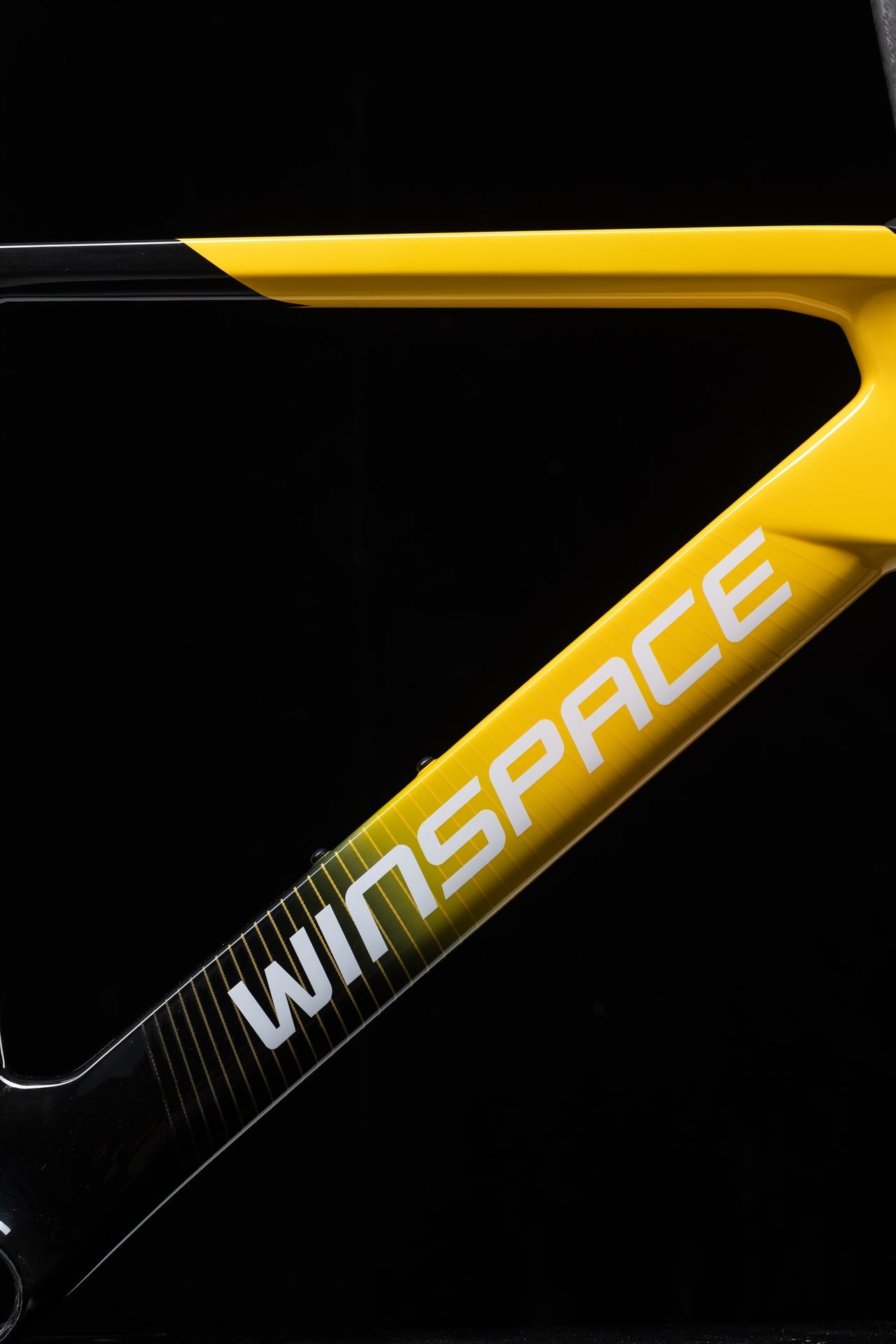WINSPACE M6 105 SPORTS 完成車