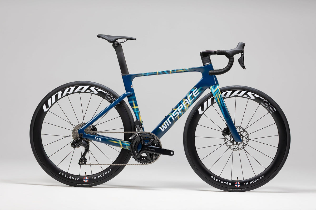 M5 105 Di2 SPORTS完成車