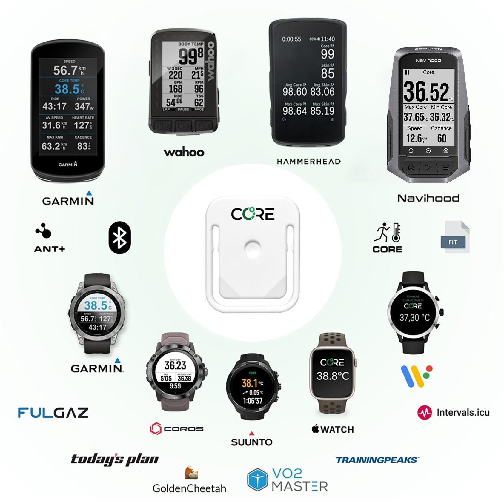 CORE 深部温度センサー