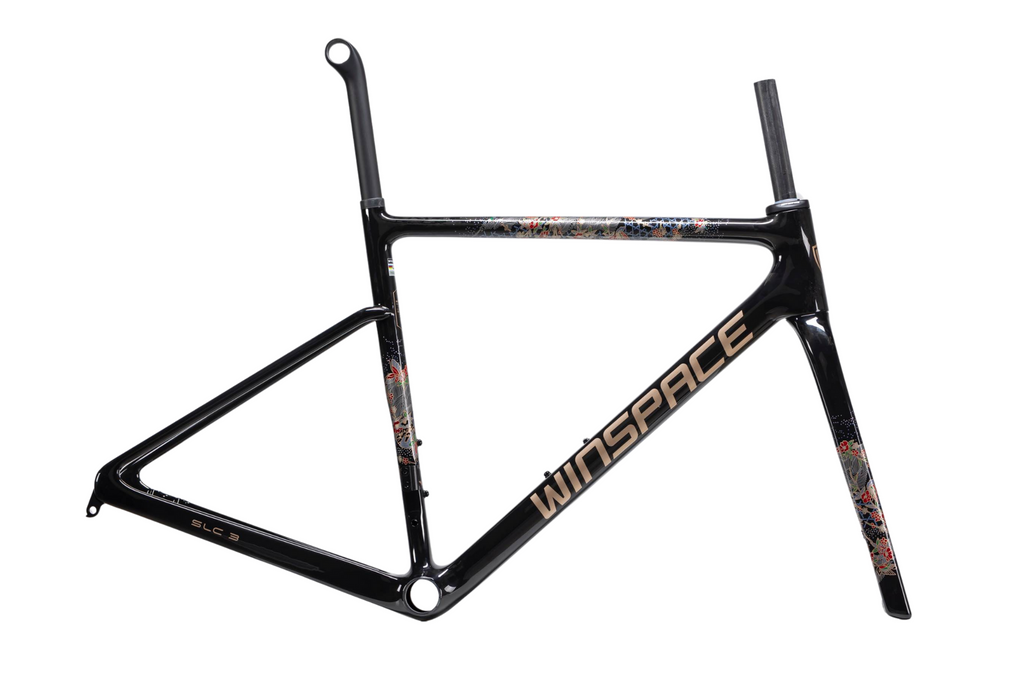 SLC3 105 Di2 完成車